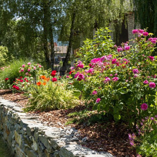 bildergalerie mair am bach sommer urlaub suedtirol kronplatz bruneck 6