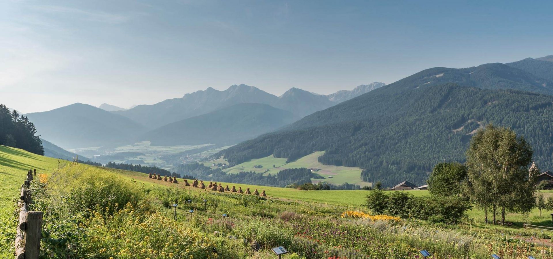 kronplatzes suedtirol bauernhof dolomiten urlaub im sommer 3