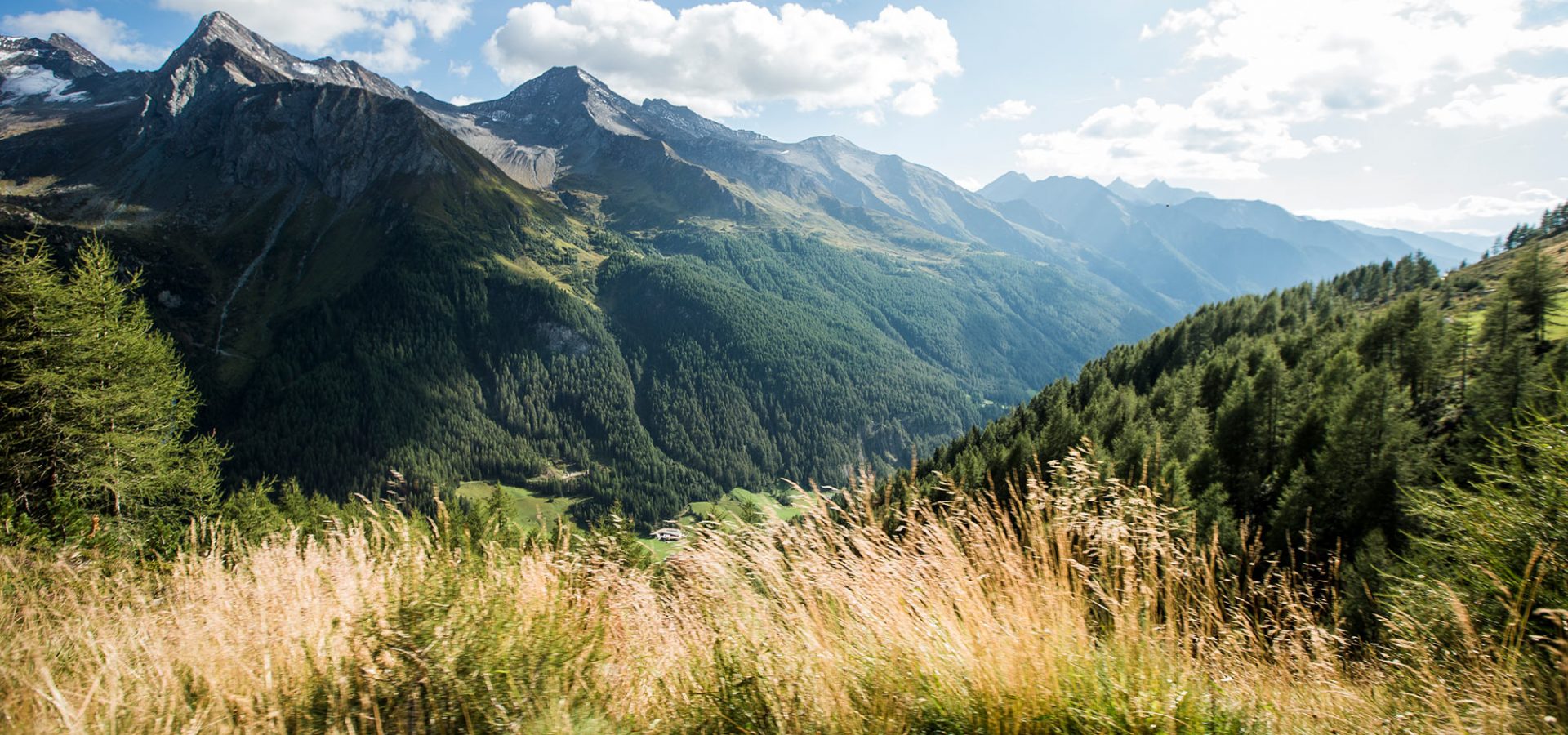 kronplatzes suedtirol bauernhof dolomiten urlaub im sommer 9 1