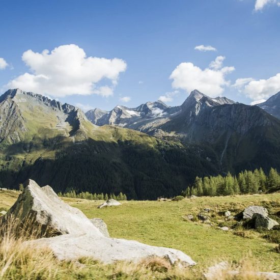 mair am bach galerie sommer kronplatz suedtirol 3