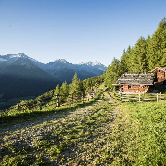 mair am bach galerie sommer kronplatz suedtirol 9